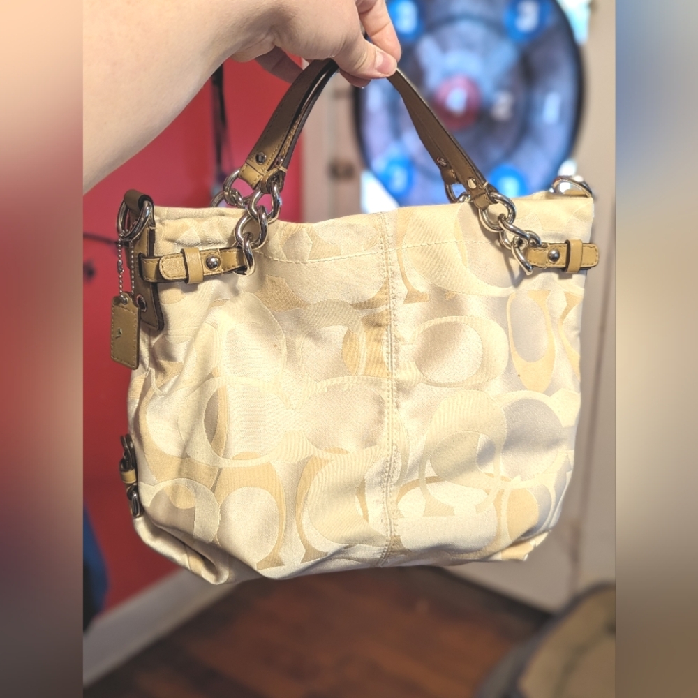 Coach Brooke hobo bag